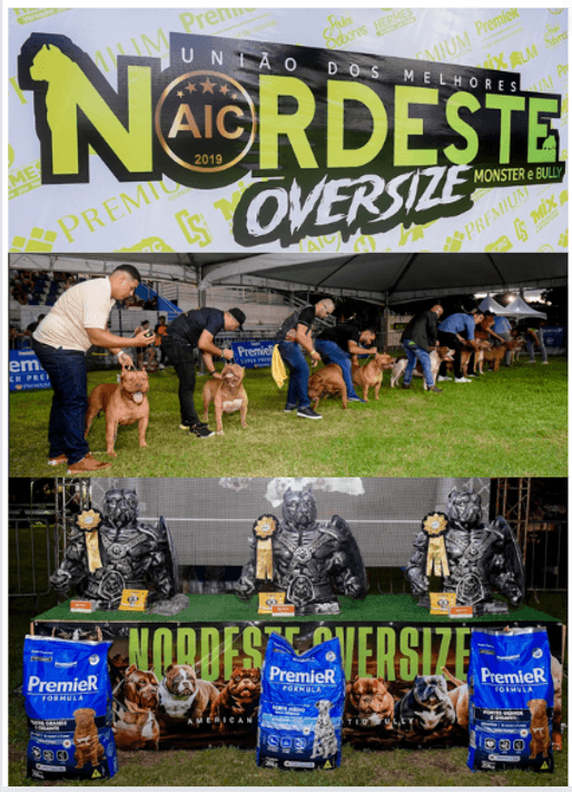 União dos Melhores Nordeste Oversize